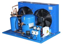 江蘇天鼎證券投資大勢研判